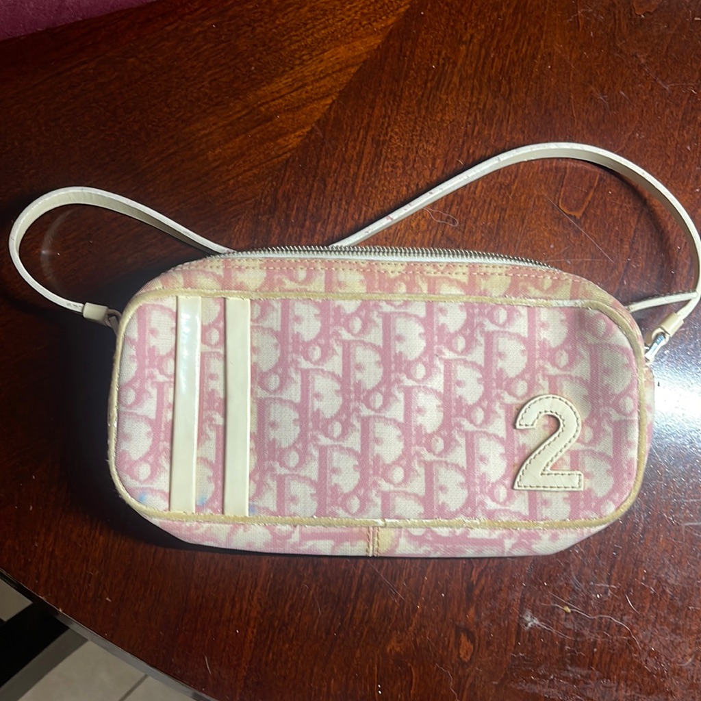 Dior Trotter Cloth Bag Good Condition Never Used Discoloration On The Side